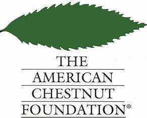 The American Chestnut Foundation