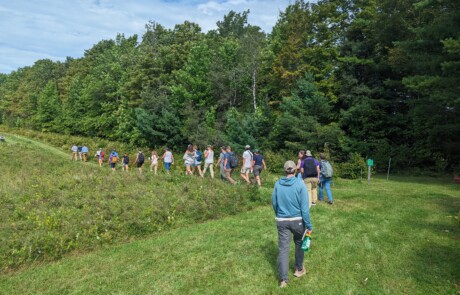 Group hiking through a grassy trail near a forest.