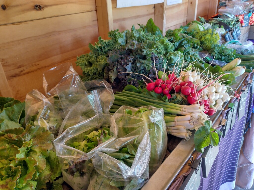 Helios Horsepower Farm